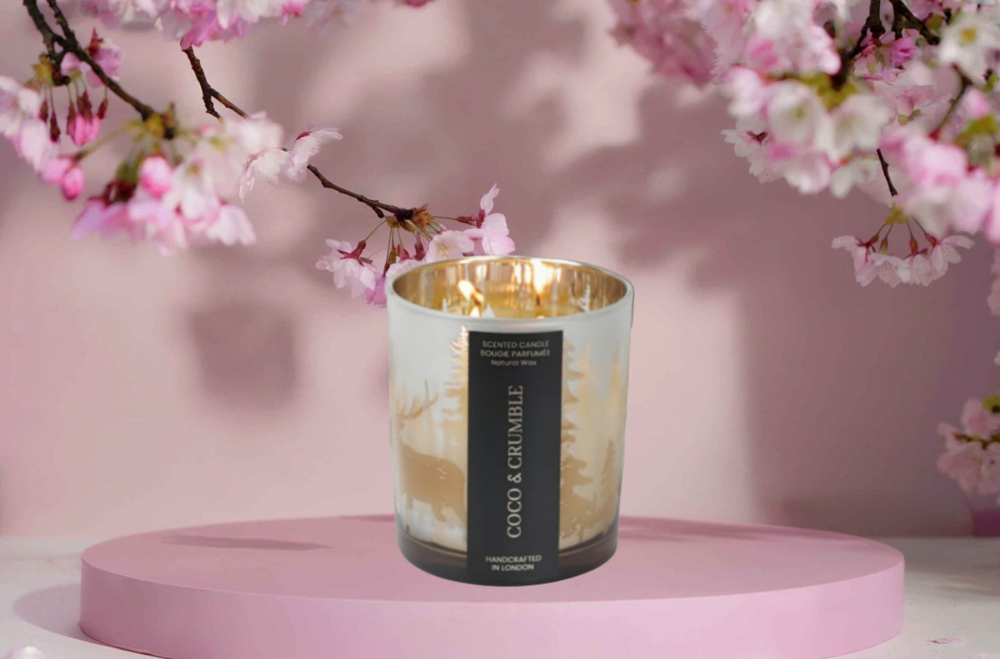 Mulled Wine |🎄☃️🎄