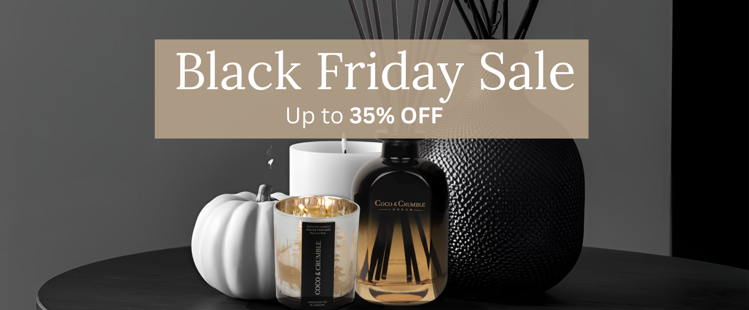 BLACK FRIDAY SALE